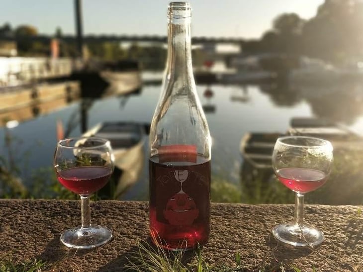 Topette à Lundi - Domaine de Bablut - Christophe & Antoine Daviau 