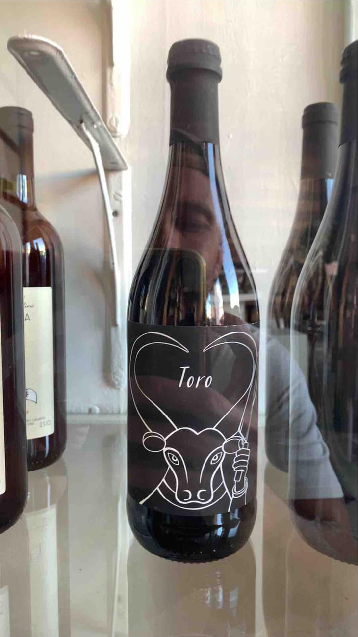 Toro - Il Ceo - Davide Andreatta 