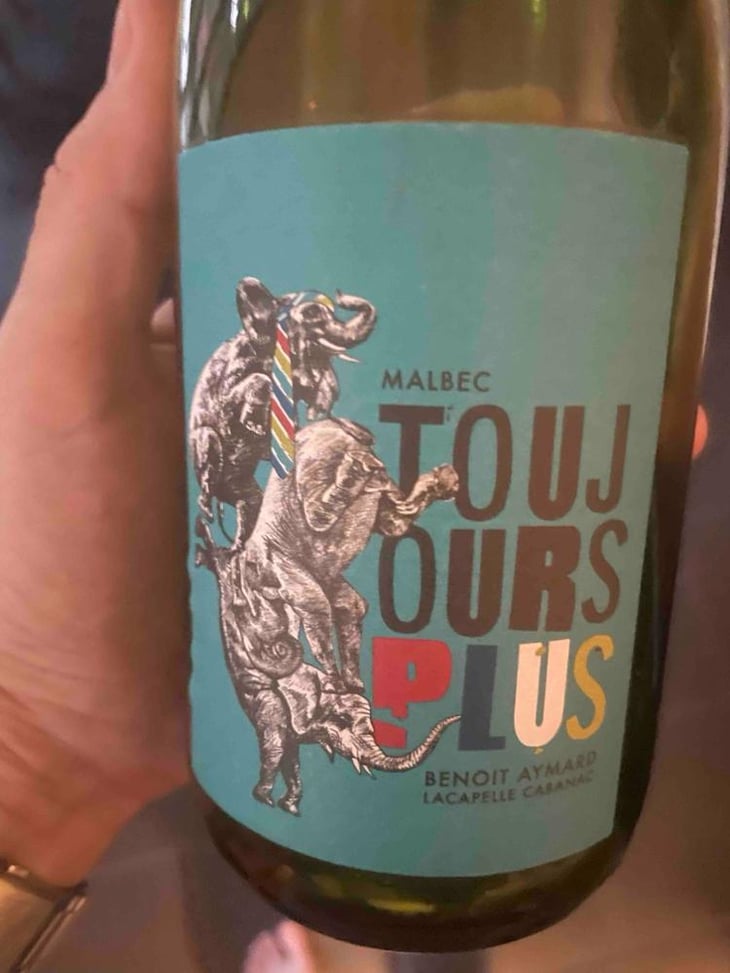 Toujours plus - Clos d’Audhuy - Benoit Aymard -2023
