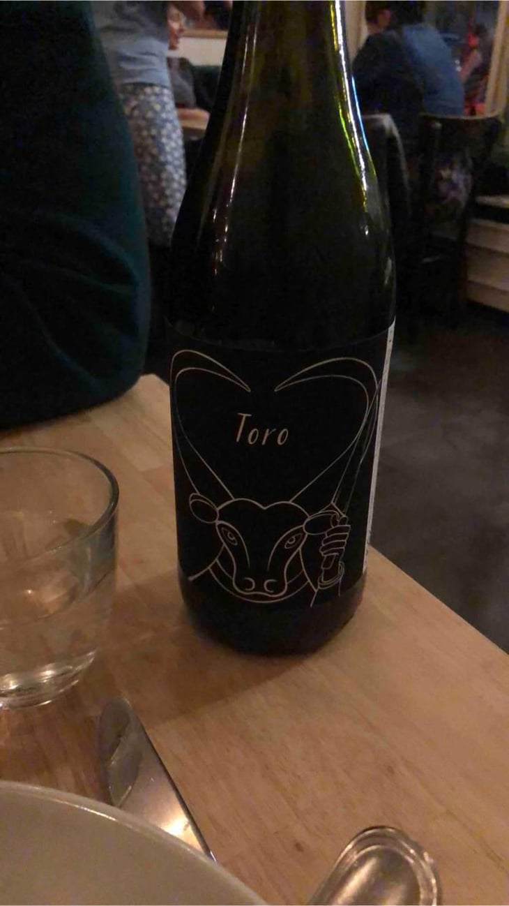 Toro - Il Ceo - Davide Andreatta 