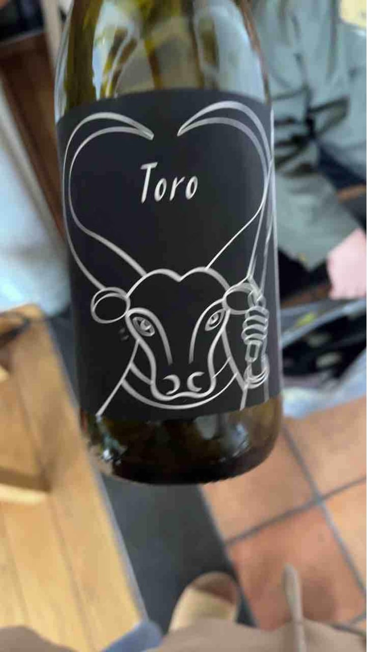 Toro - Il Ceo - Davide Andreatta 