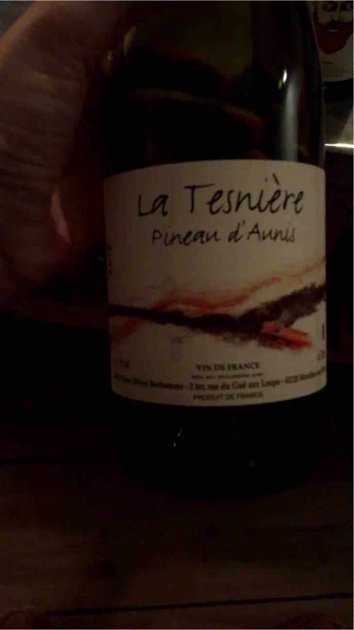 Touraine "La Tesnière" (rouge) - Domaine POB - Pierre-Olivier Bonhomme 