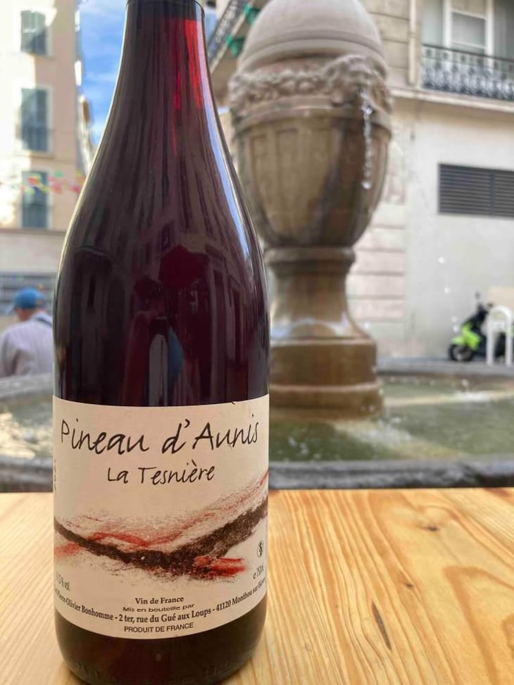 Touraine "La Tesnière" (rouge) - Domaine POB - Pierre-Olivier Bonhomme 