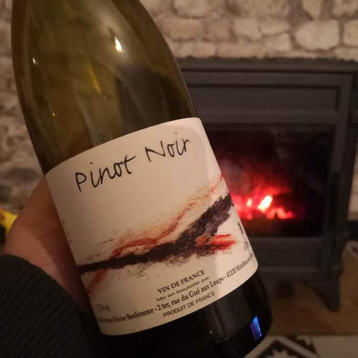 Touraine "Pinot Noir" - Domaine POB - Pierre-Olivier Bonhomme 