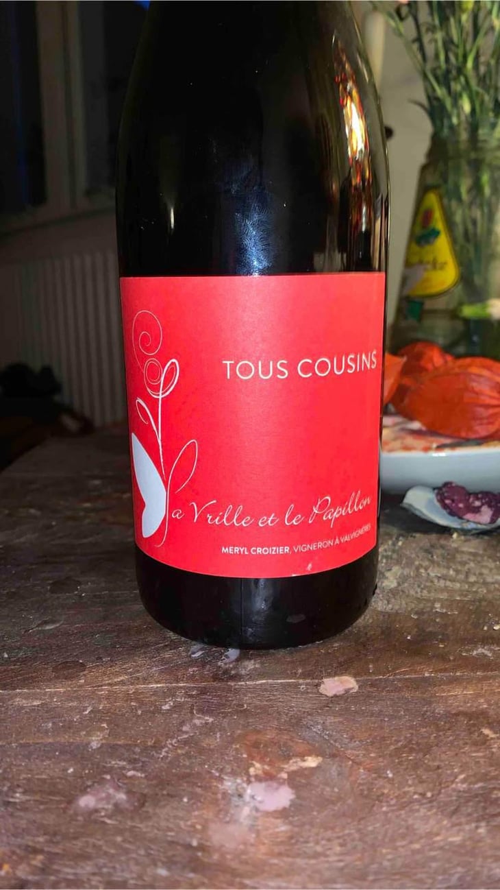 Tous Cousins - La Vrille et le Papillon - Géraldine & Méryl Croizier 
