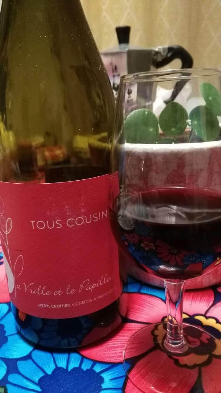 Tous Cousins - La Vrille et le Papillon - Géraldine & Méryl Croizier 