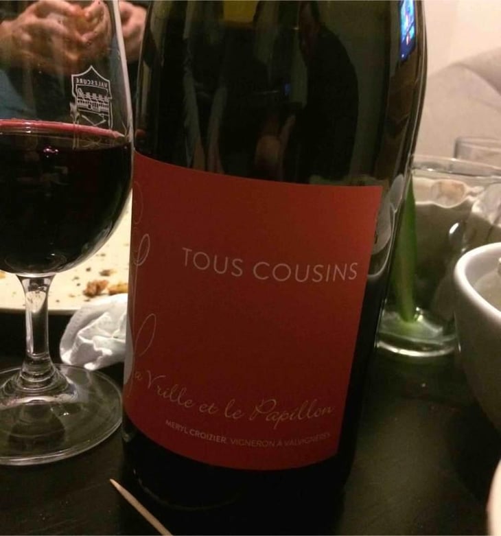 Tous Cousins - La Vrille et le Papillon - Géraldine & Méryl Croizier 