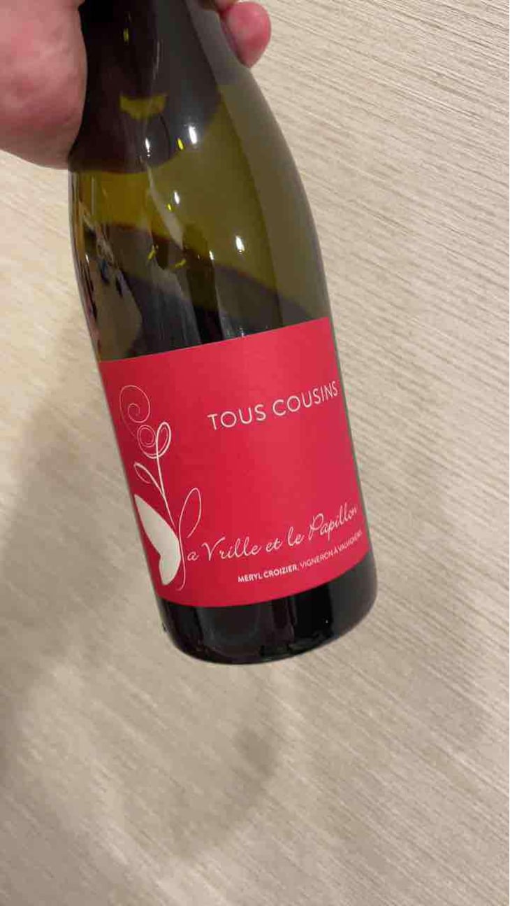 Tous Cousins - La Vrille et le Papillon - Géraldine & Méryl Croizier 