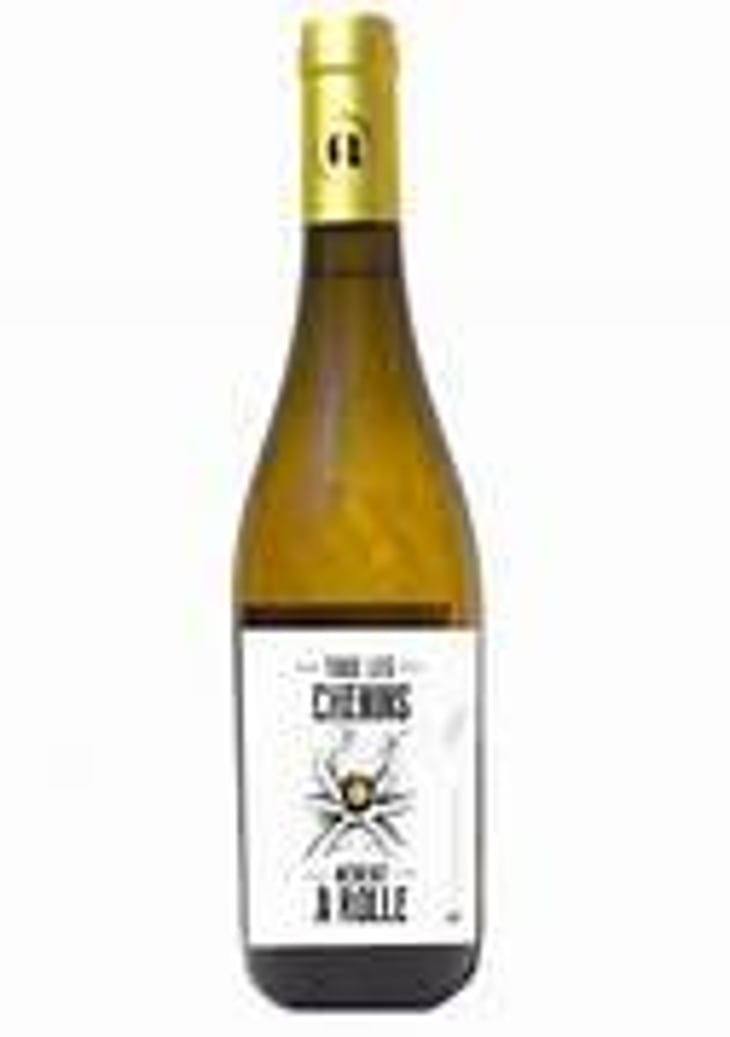 Tous les chenins mènent à Rolle - Domaine des Amiel - Aymeric & Jordan Amiel -2022