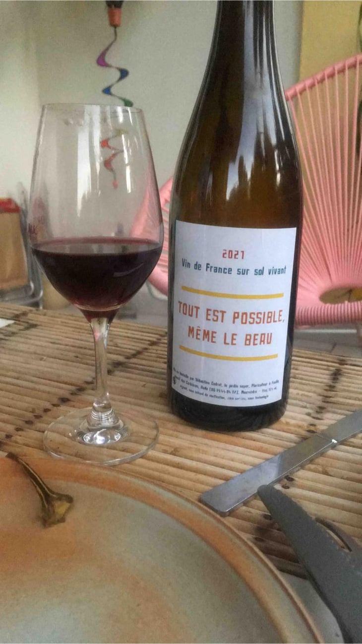 Tout est possible même le beau - Le Jardin Super - Sebastien Godret -2021