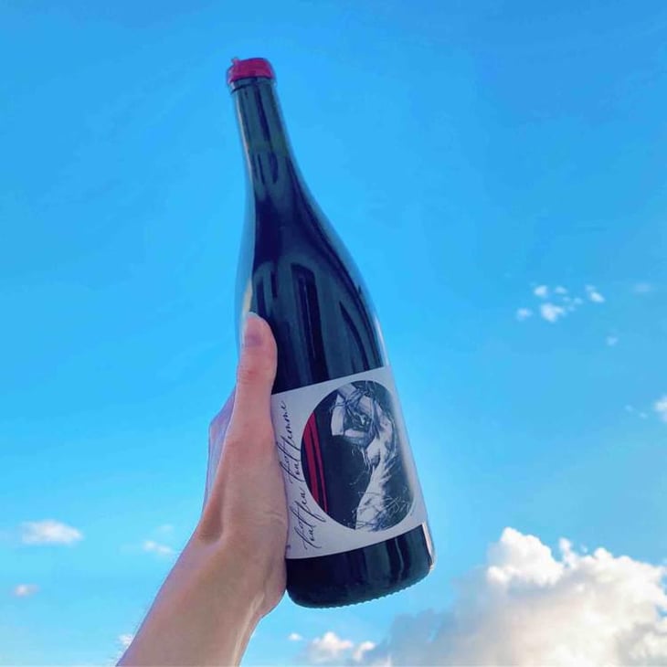 Tout Feu Tout Femme - Domaine Laura Aillaud - Laura Aillaud -2024