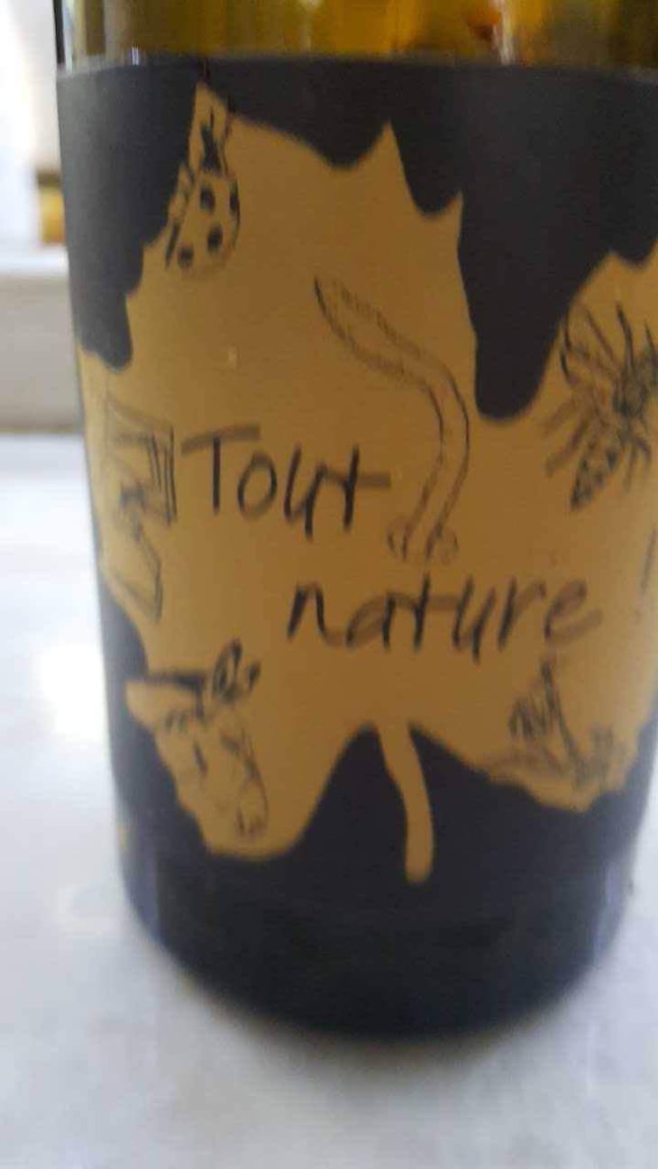 Tout Nature - Domaine Ledogar - Xavier, Mathieu & Benoît Ledogar 