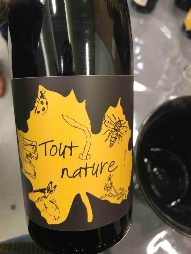 Tout Nature - Domaine Ledogar - Xavier, Mathieu & Benoît Ledogar 