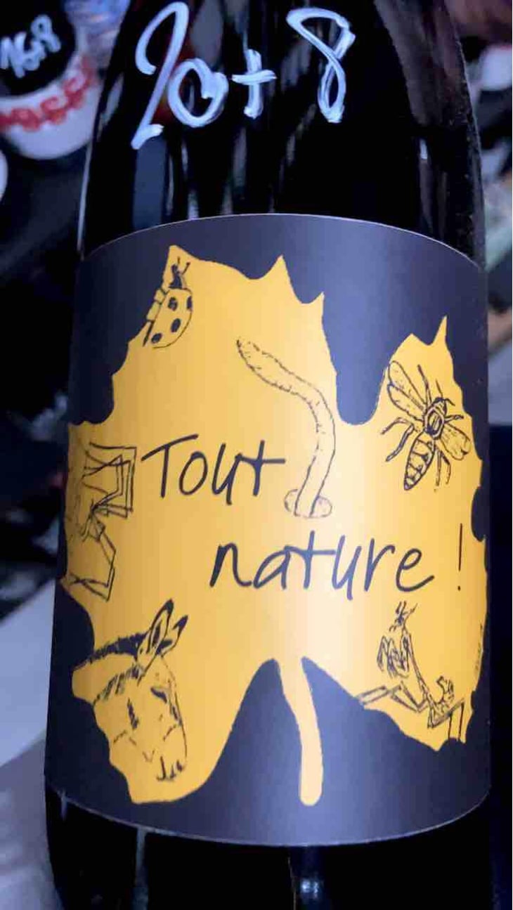 Tout Nature - Domaine Ledogar - Xavier, Mathieu & Benoît Ledogar 