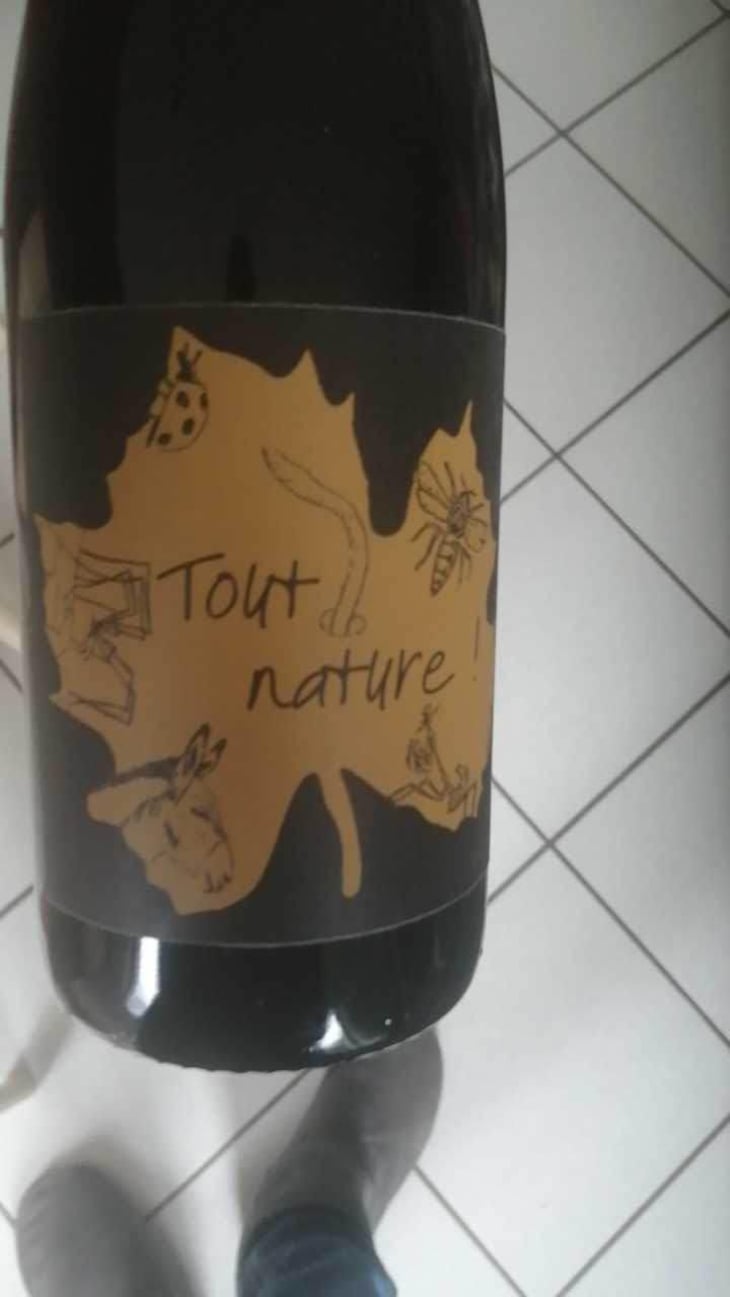 Tout Nature - Domaine Ledogar - Xavier, Mathieu & Benoît Ledogar 
