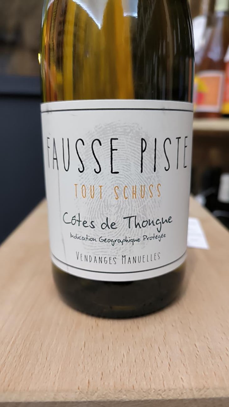 Tout schuss - Fausse piste - Bruno Granier -2020