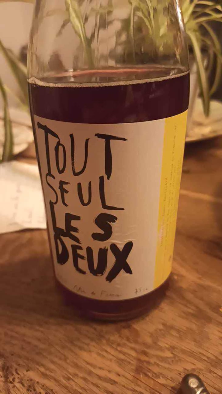 Tout Seul Les Deux - Simon Rouillard - Simon Rouillard 
