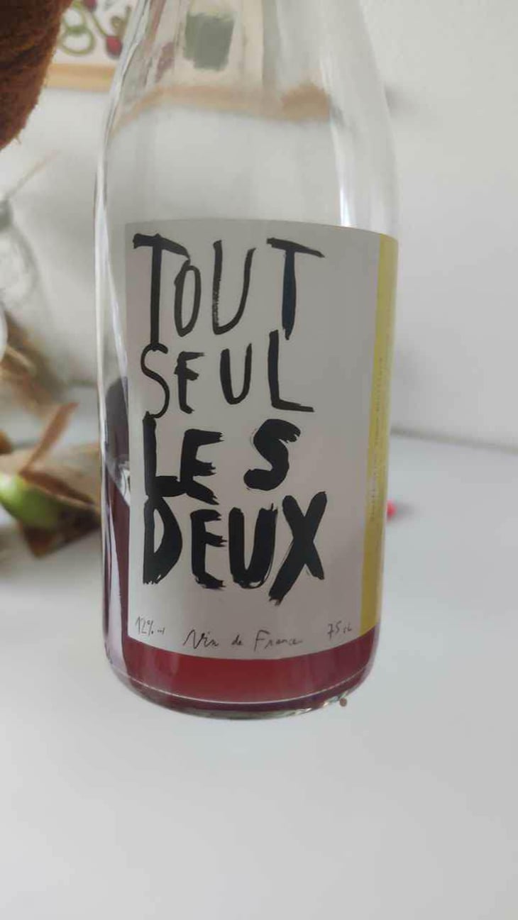 Tout Seul Les Deux - Simon Rouillard - Simon Rouillard 