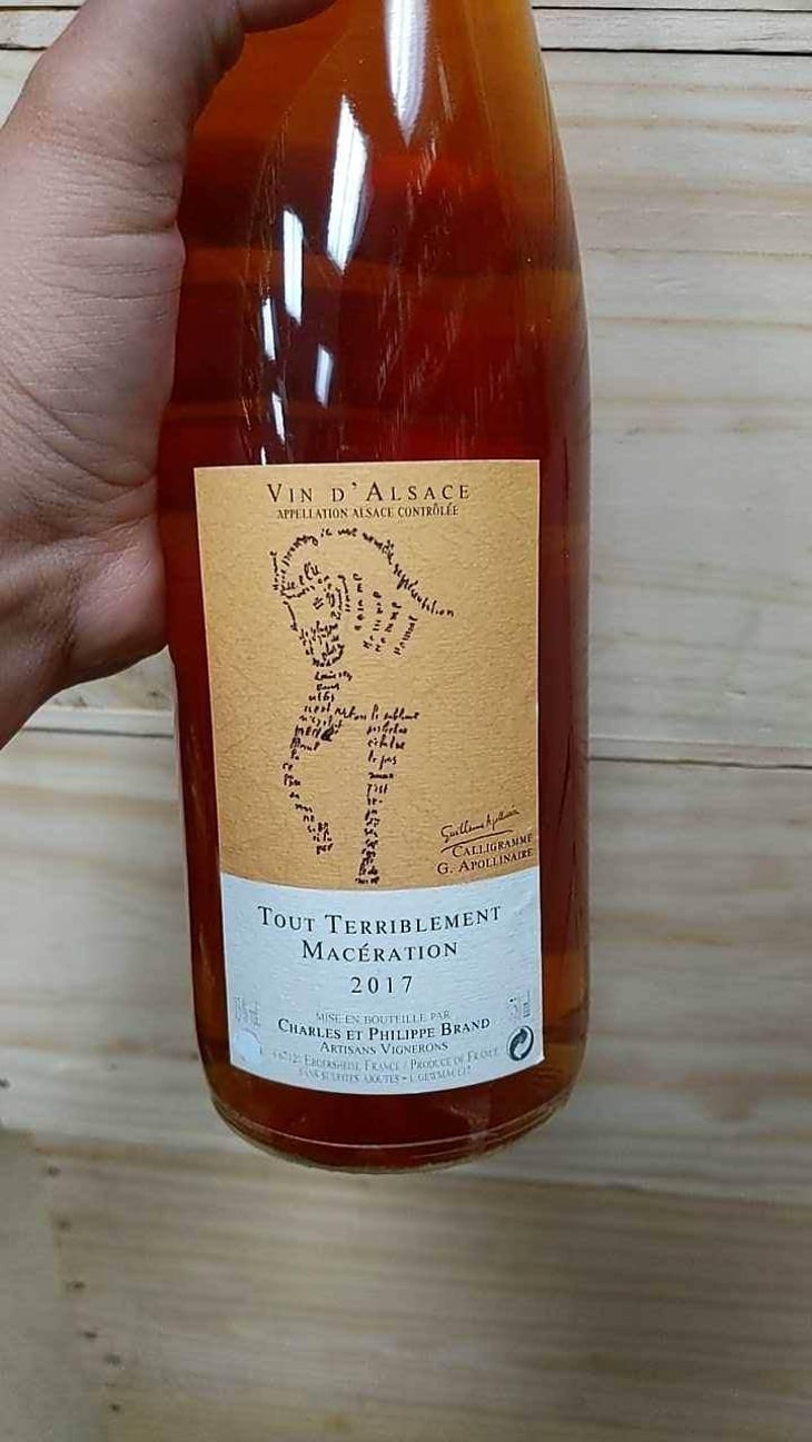 Tout Terriblement Macération - Domaine Brand & Fils - Philippe Brand 