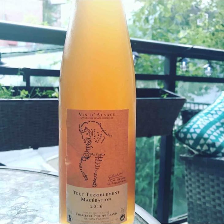 Tout Terriblement Macération - Domaine Brand & Fils - Philippe Brand 