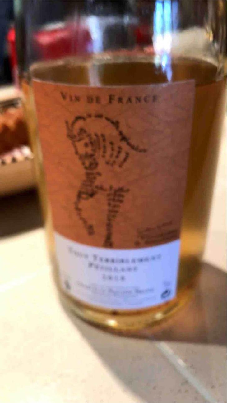 Tout Terriblement Macération - Domaine Brand & Fils - Philippe Brand 