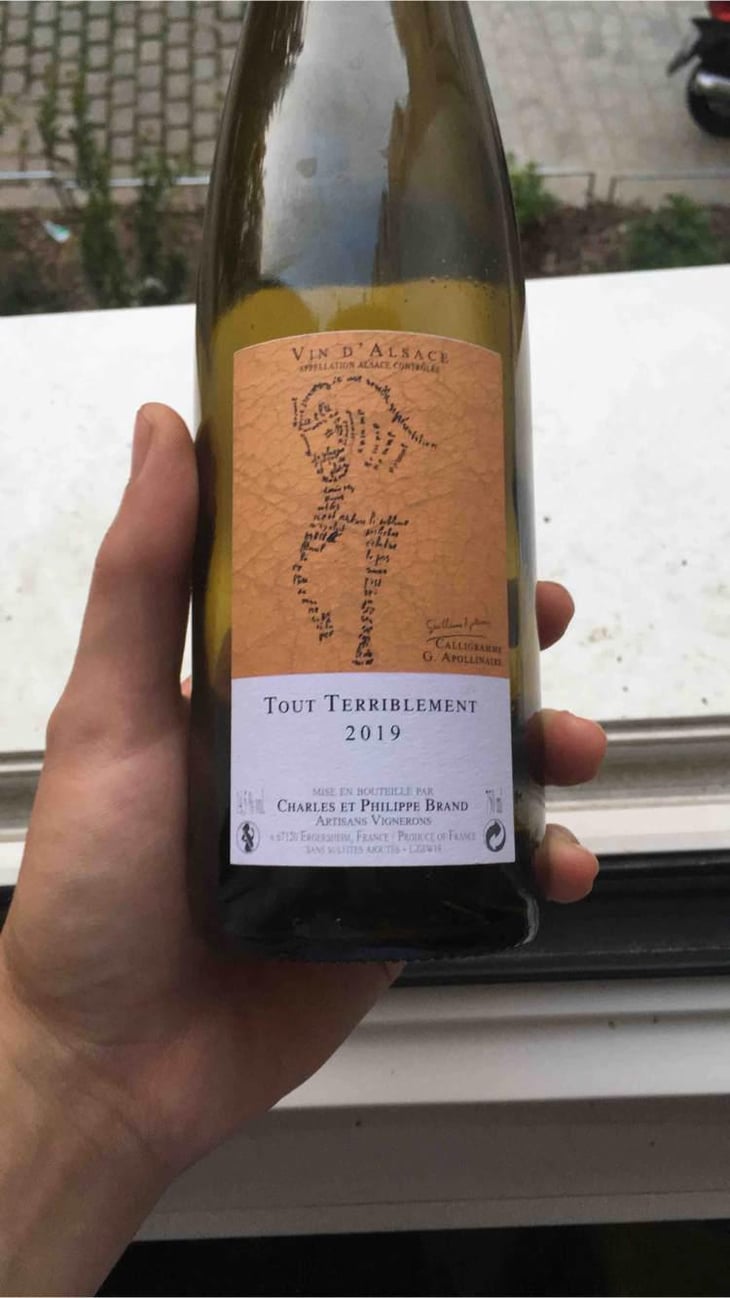 Tout Terriblement Macération - Domaine Brand & Fils - Philippe Brand 