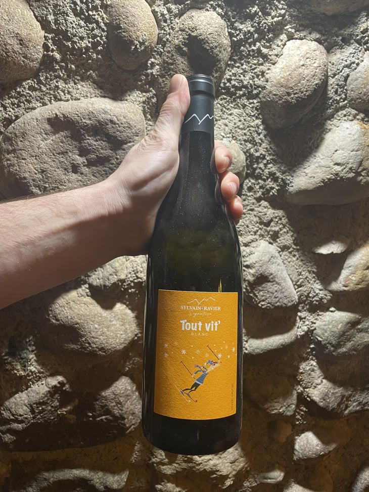 Tout vit’ Blanc - Domaine Philippe et Sylvain Ravier - Philippe et Sylvain Ravier -2021