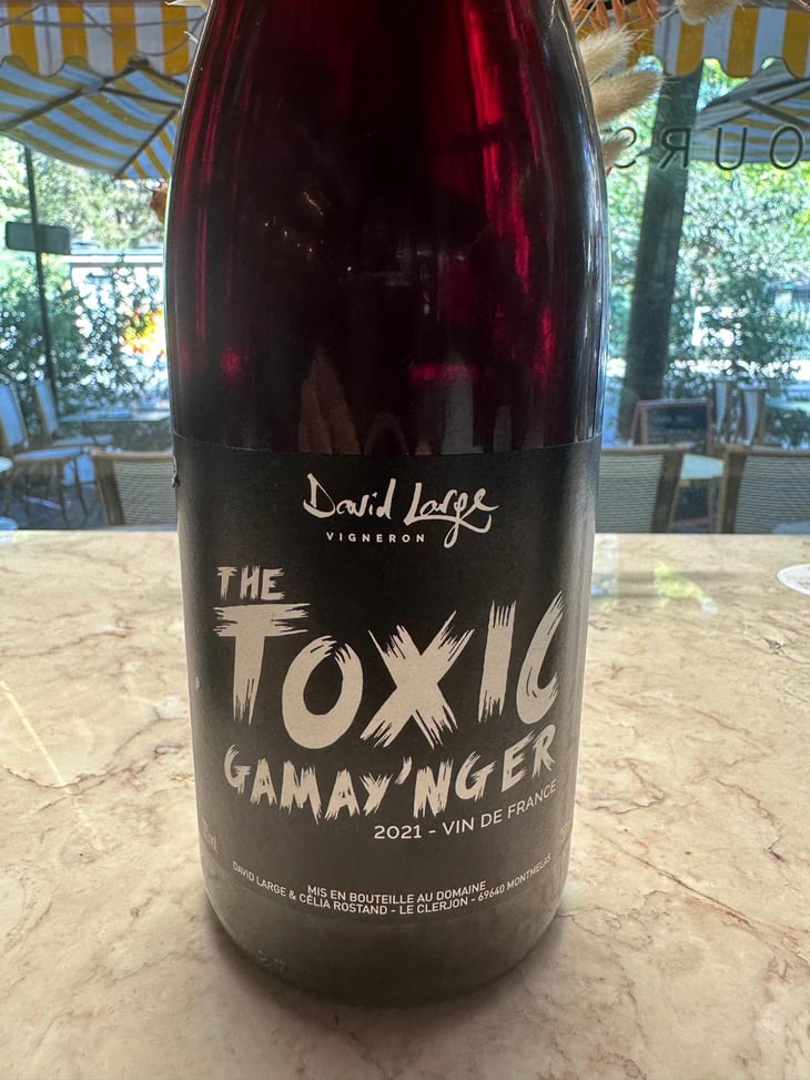 The Toxic Gamay'nger - David Large - Célia Rostand et David Large 