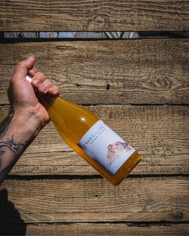 Tragolargo 2021 - Bodegas Bernabé Navarro SL - Rafa Bernabé -2021