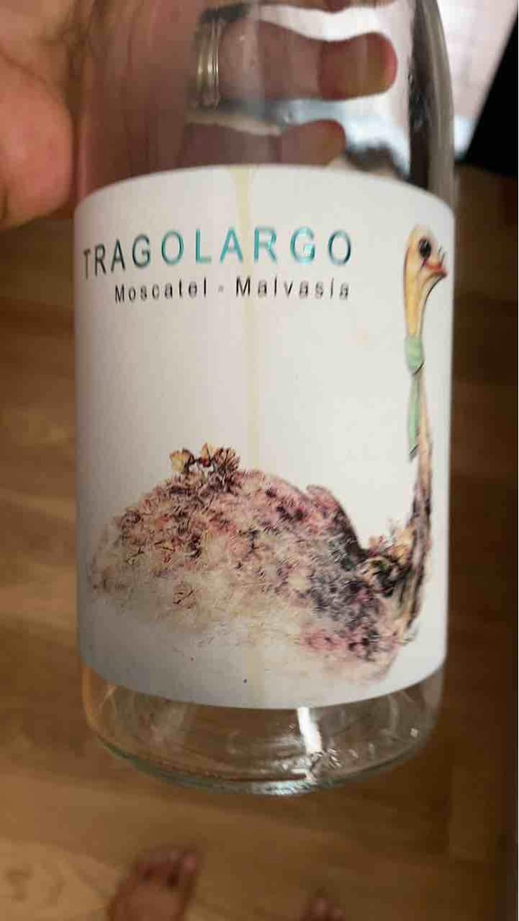 Tragolargo Orange - Bodegas Bernabé Navarro SL - Rafa Bernabé 