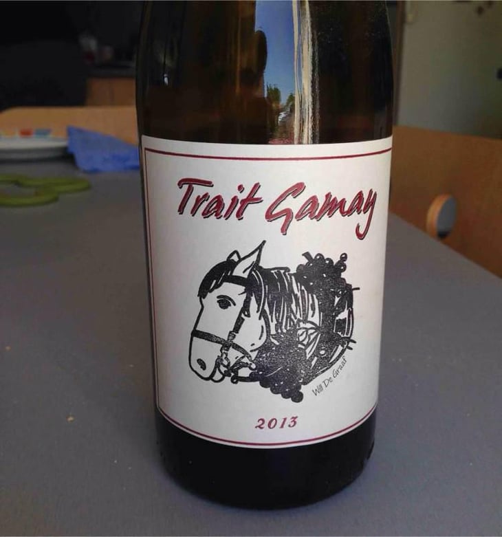 Trait Gamay - Rémi Sédès - Rémi Sédès 