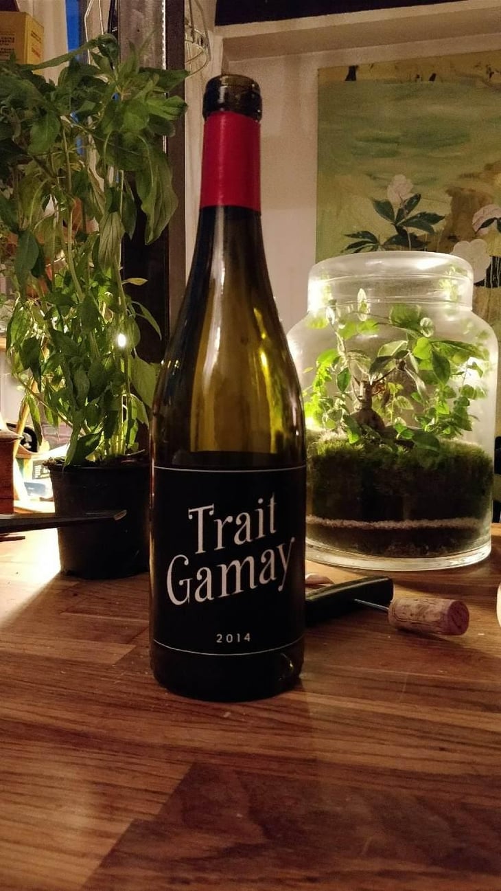 Trait Gamay - Rémi Sédès - Rémi Sédès 