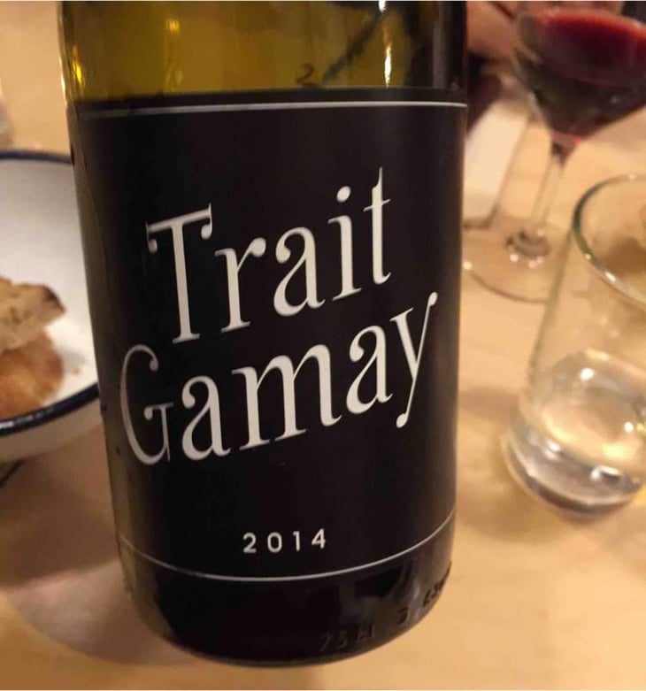 Trait Gamay - Rémi Sédès - Rémi Sédès 
