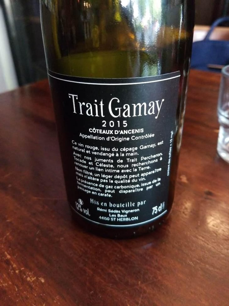 Trait Gamay - Rémi Sédès - Rémi Sédès 