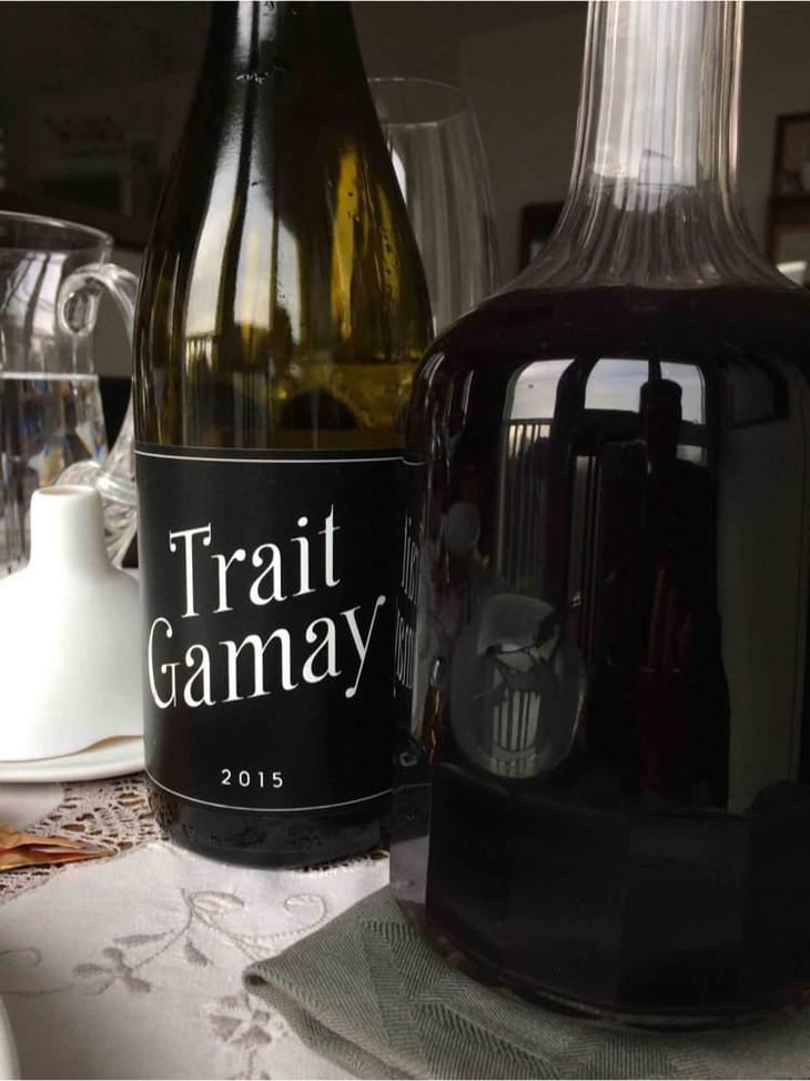 Trait Gamay - Rémi Sédès - Rémi Sédès 