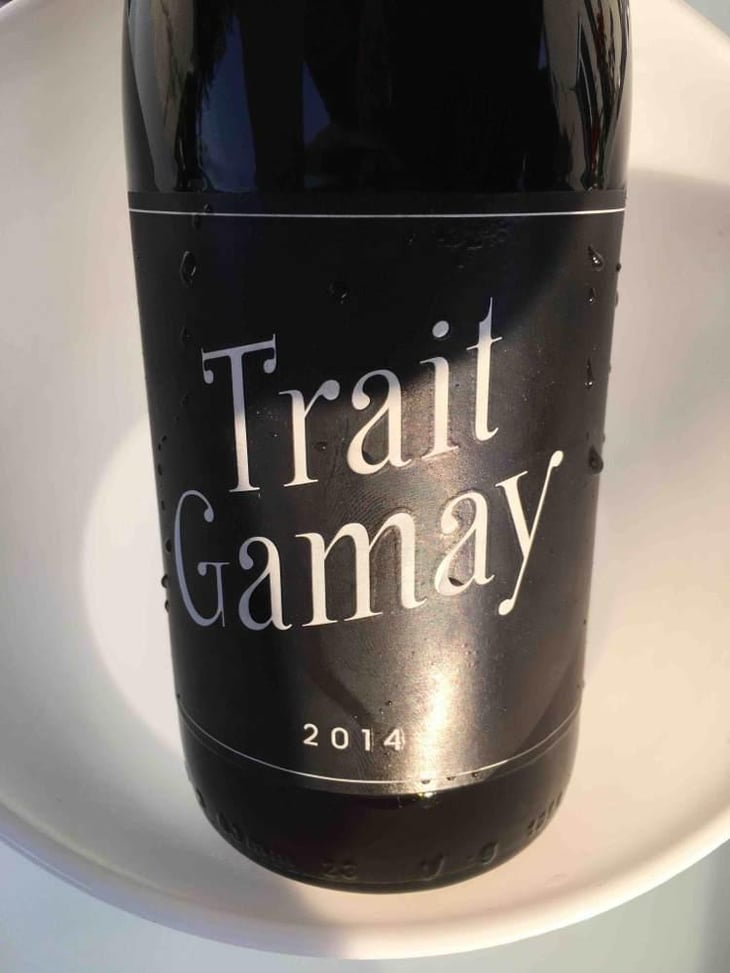 Trait Gamay - Rémi Sédès - Rémi Sédès 