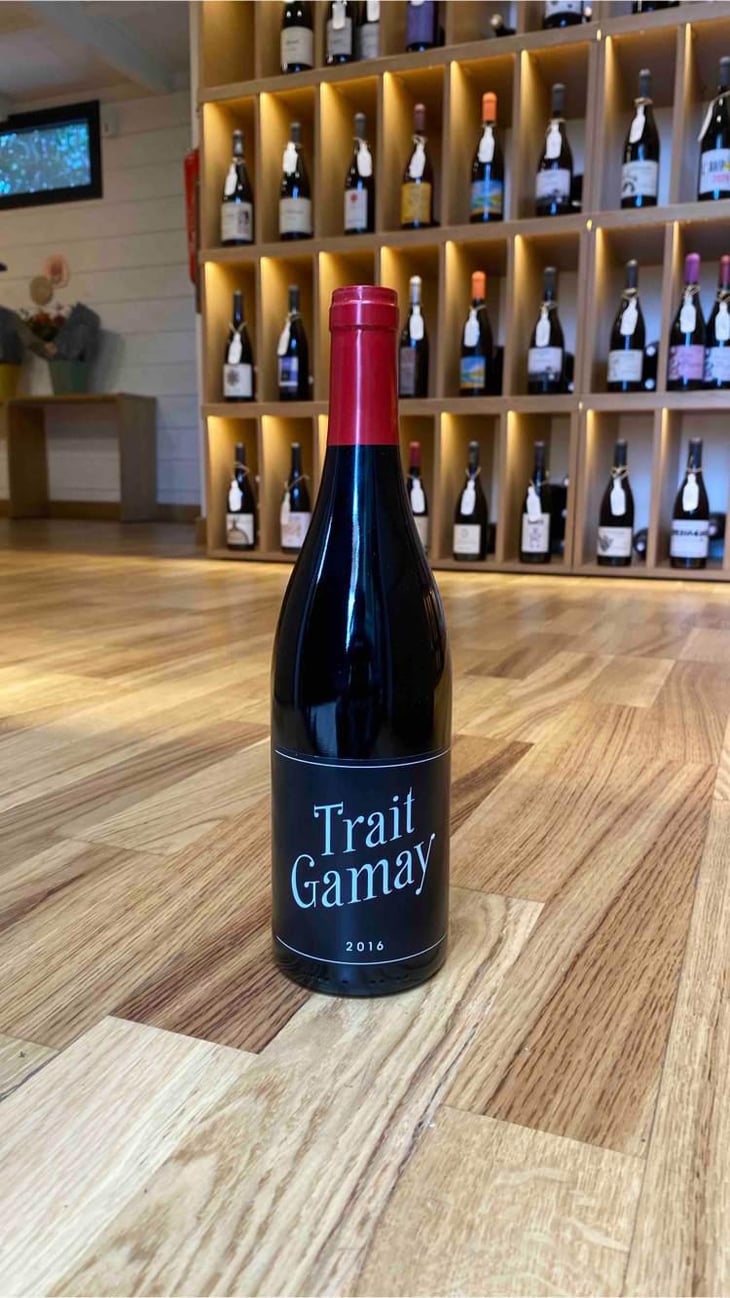 Trait Gamay - Rémi Sédès - Rémi Sédès 
