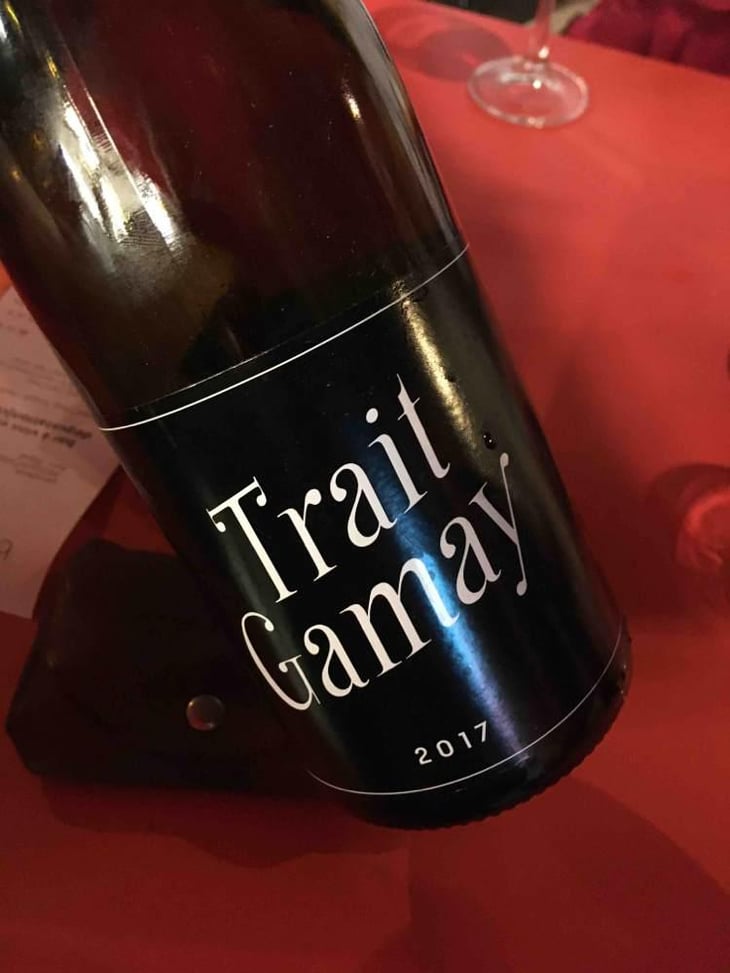 Trait Gamay - Rémi Sédès - Rémi Sédès 