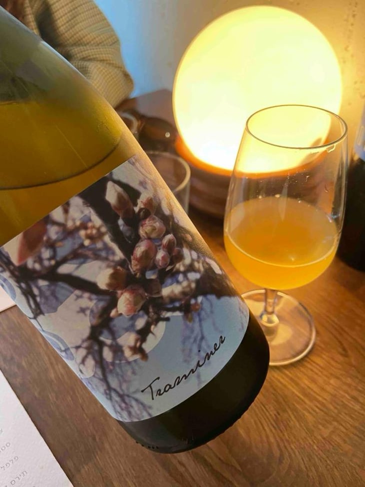 Traminer - Weingut Beck - Judith Beck 
