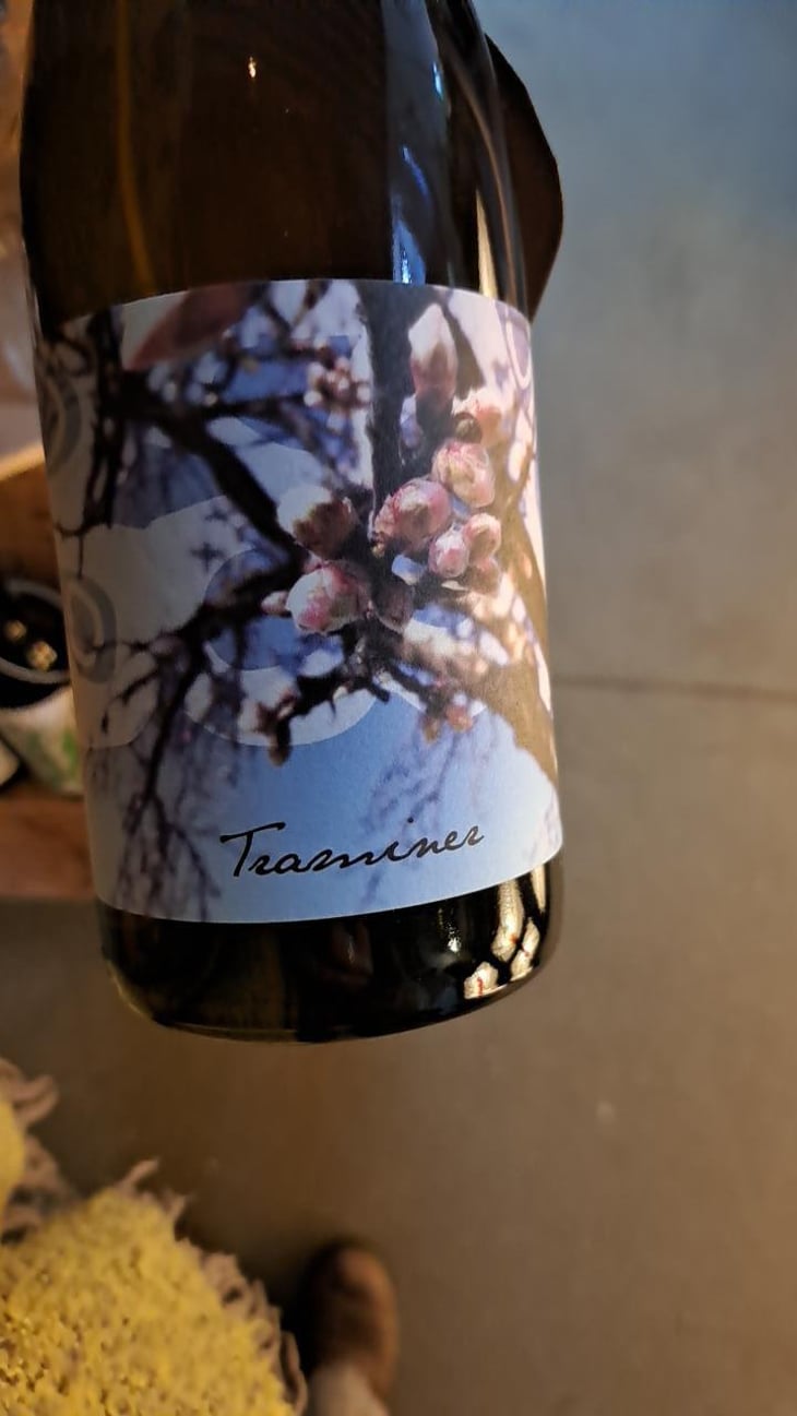 Traminer - Weingut Beck - Judith Beck 