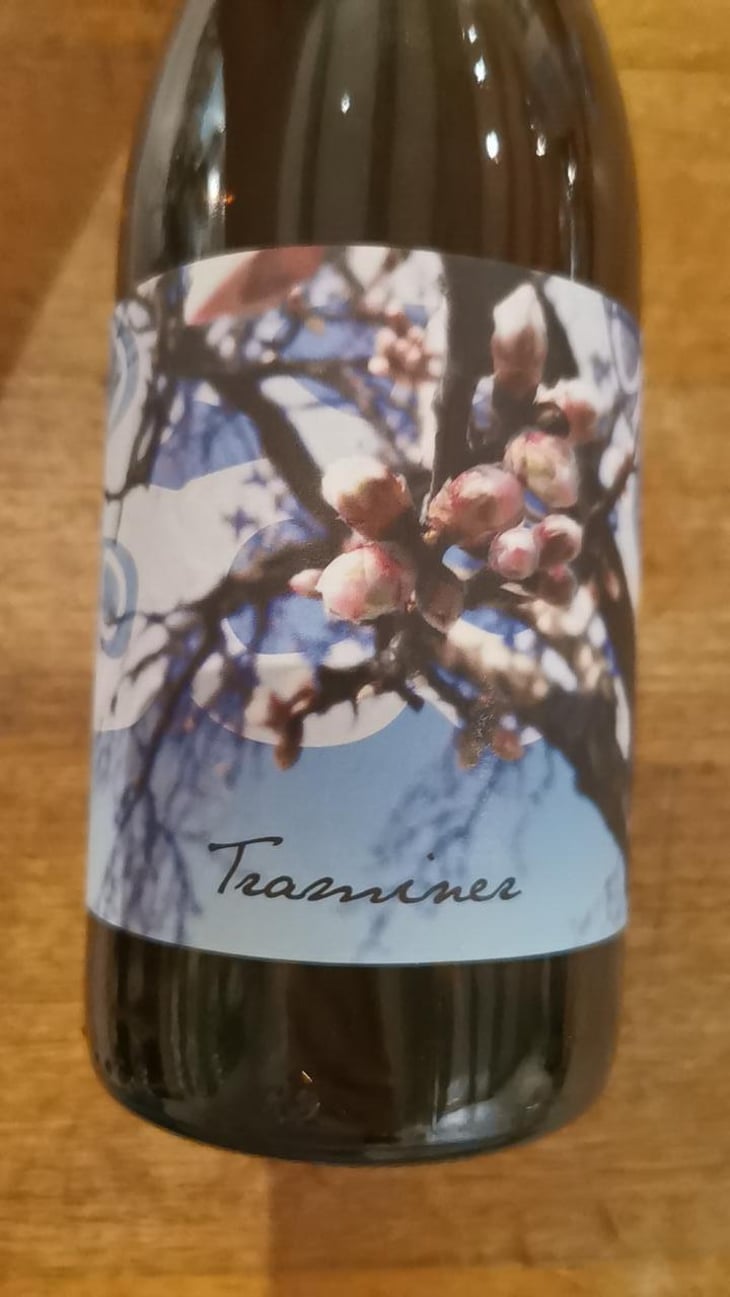 Traminer - Weingut Beck - Judith Beck 