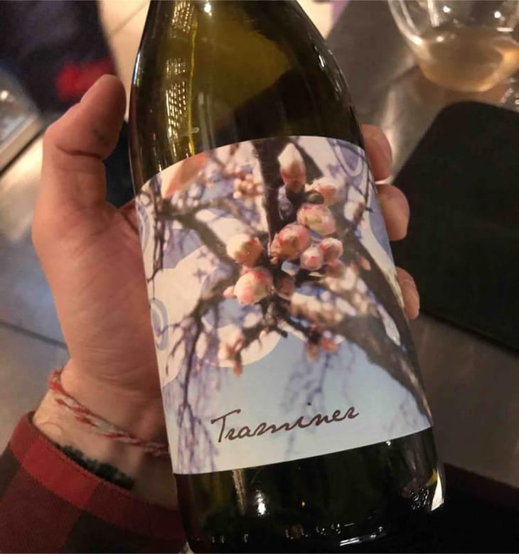 Traminer - Weingut Beck - Judith Beck 