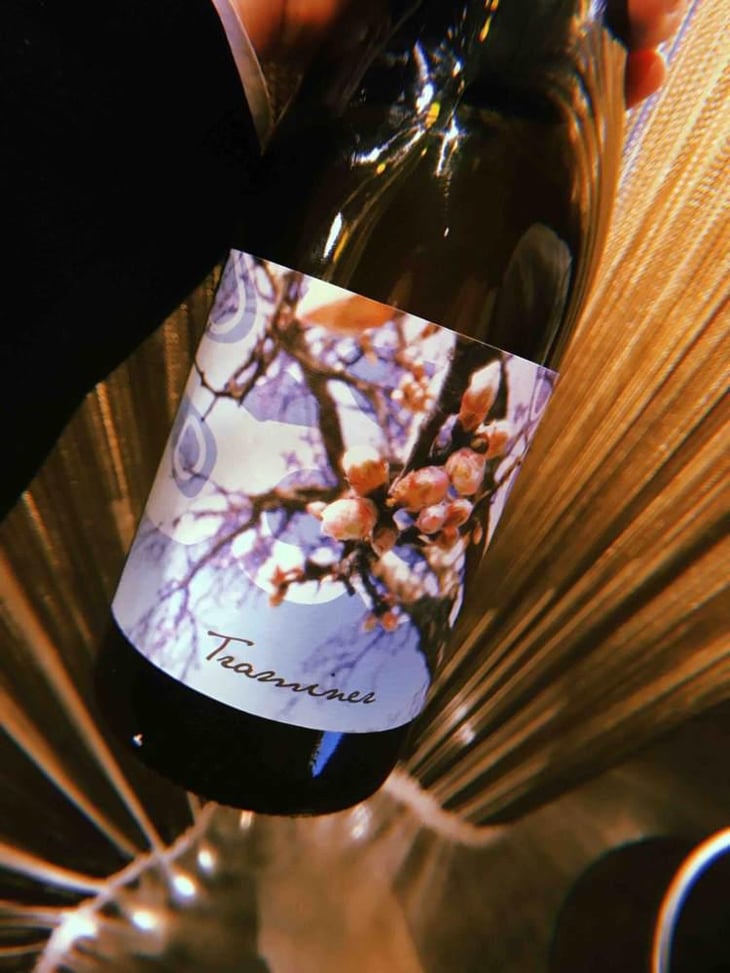 Traminer - Weingut Beck - Judith Beck 