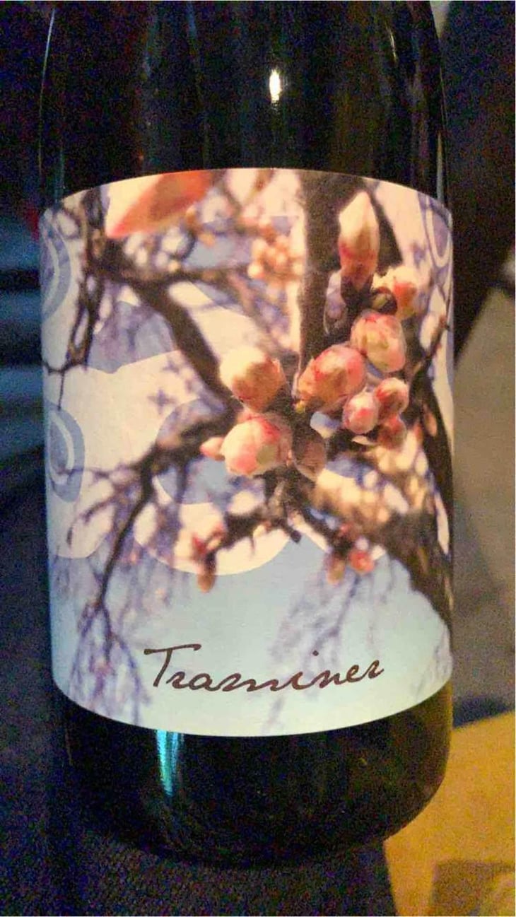 Traminer - Weingut Beck - Judith Beck 