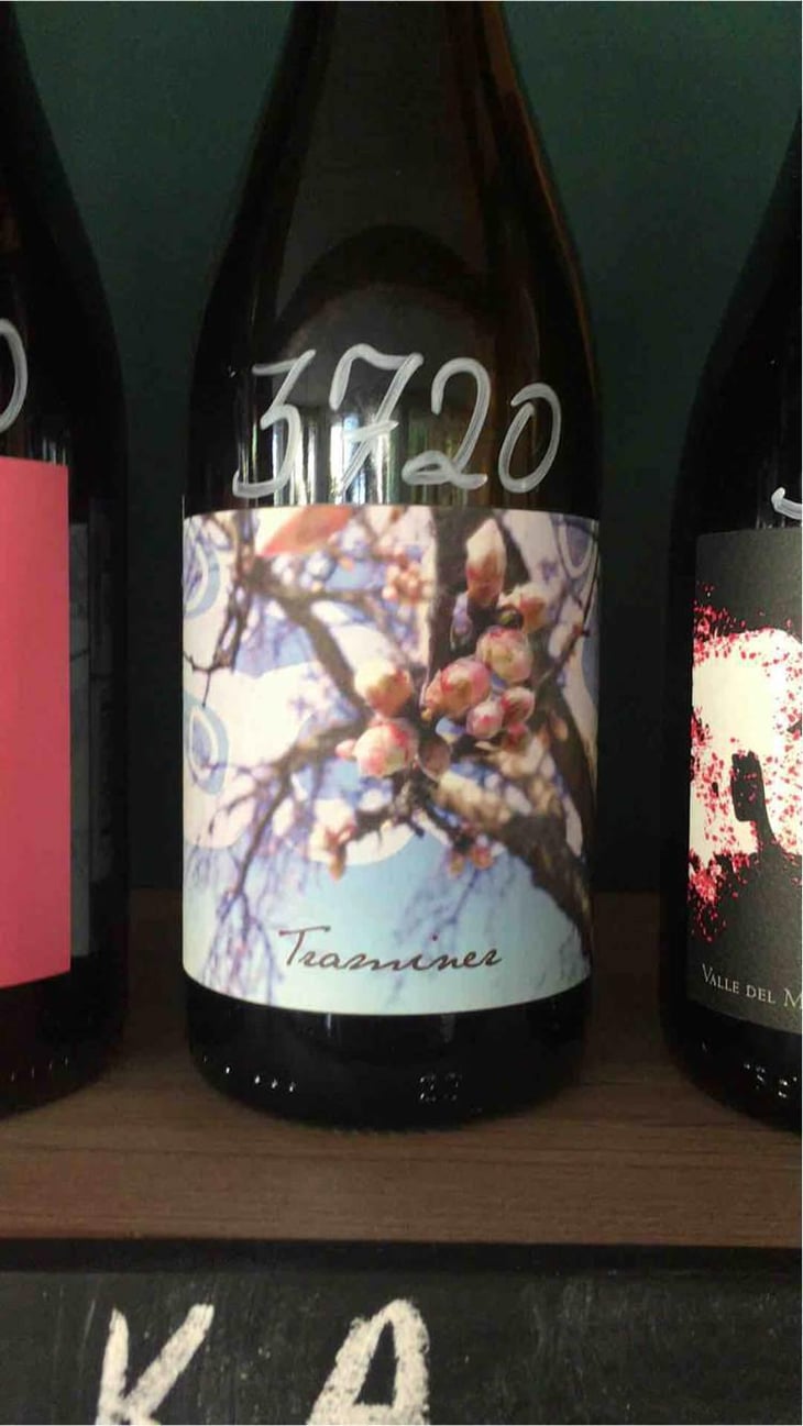 Traminer - Weingut Beck - Judith Beck 