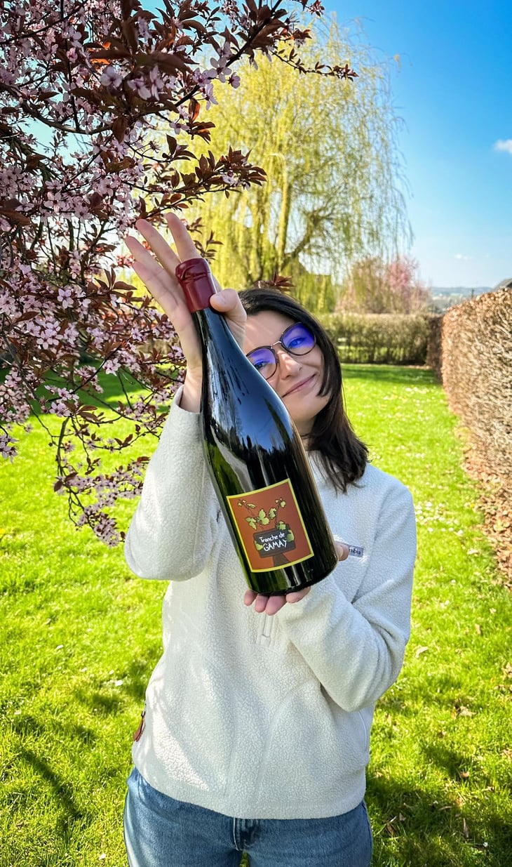 Tranche de Gamay - Domaine Romain Jambon - Romain Jambon 