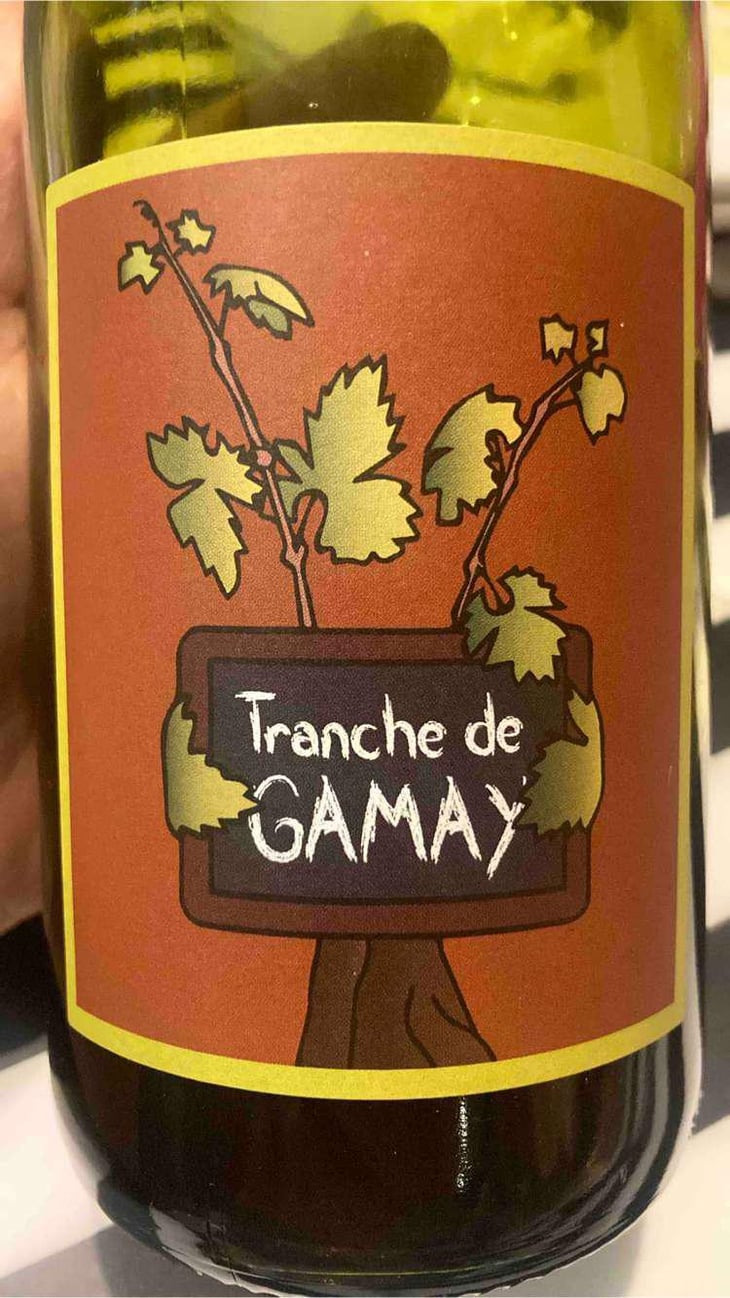 Tranche de Gamay - Domaine Romain Jambon - Romain Jambon 