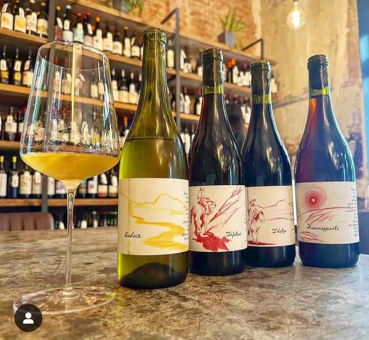 trebbiano - agricola errante - mirko di muzio 