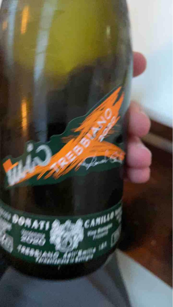 Trebbiano - Camillo Donati - Camillo Donati 
