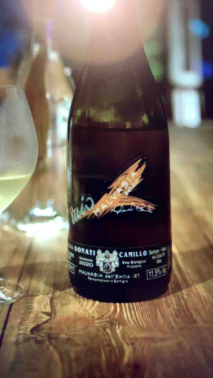 Trebbiano - Camillo Donati - Camillo Donati 